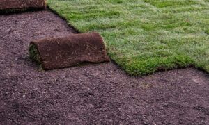 sod and seed installation close up overland park ks